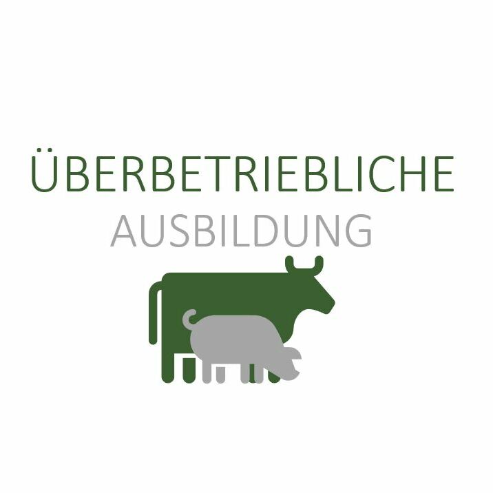 Öffnen Überbetriebliche Ausbildung